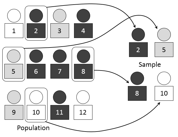 Simple Random Sample